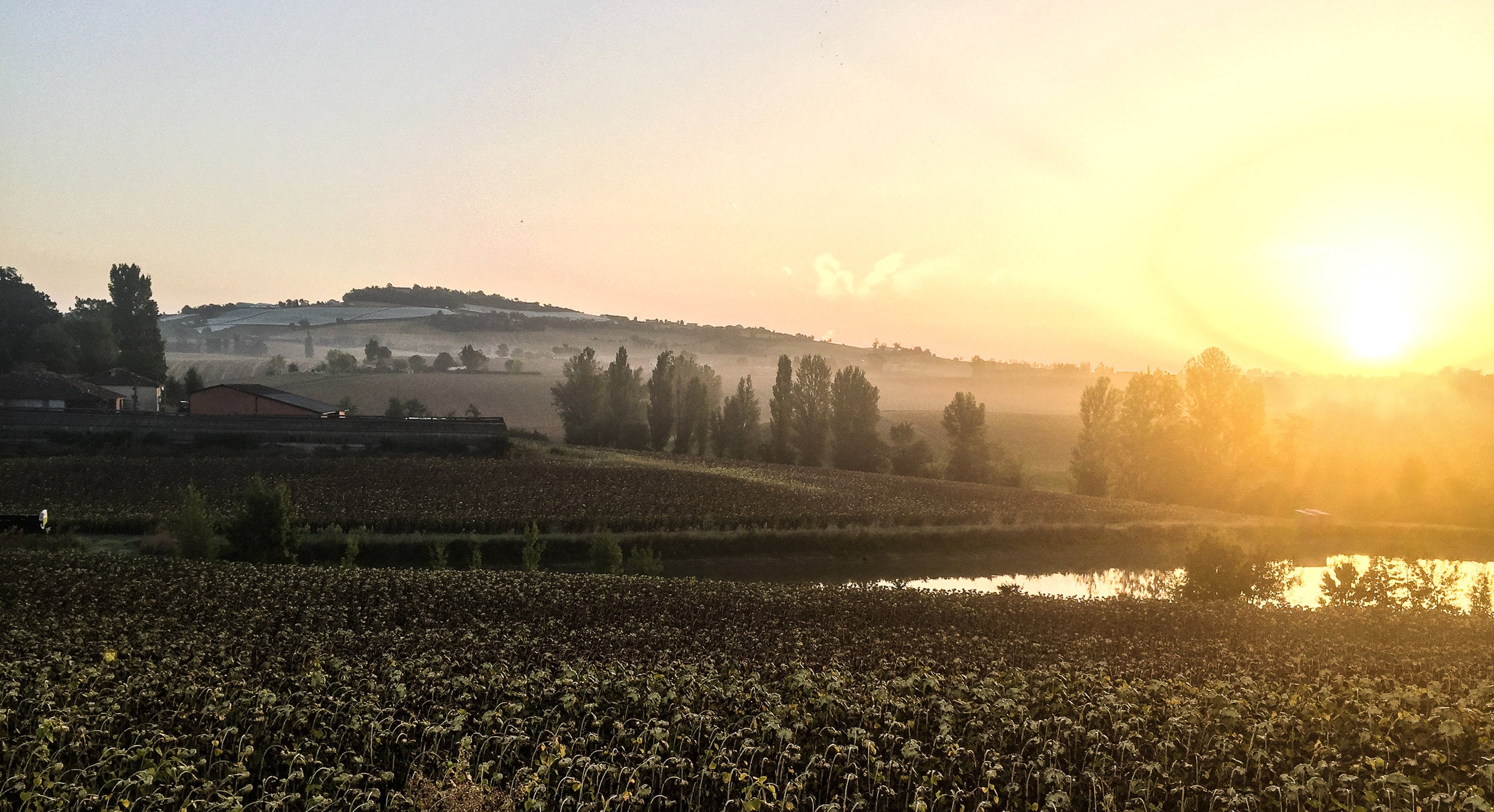 Our Group Trip to the French Countryside