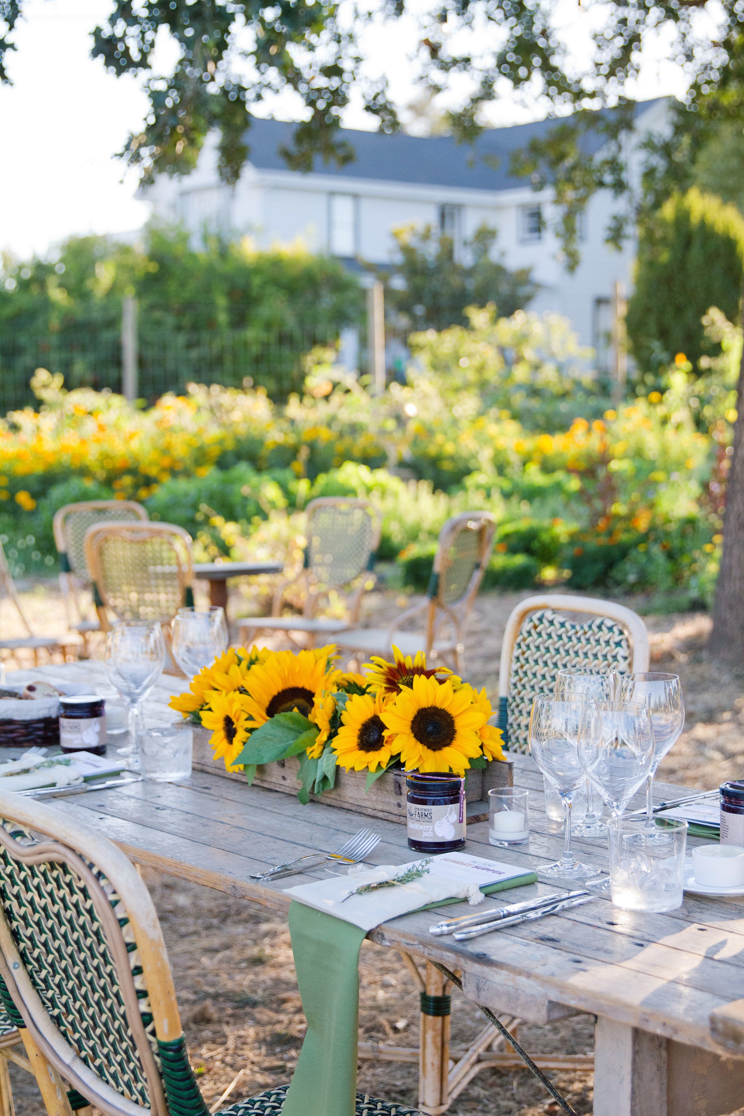 About 5th Street Farm, A Labor of Love