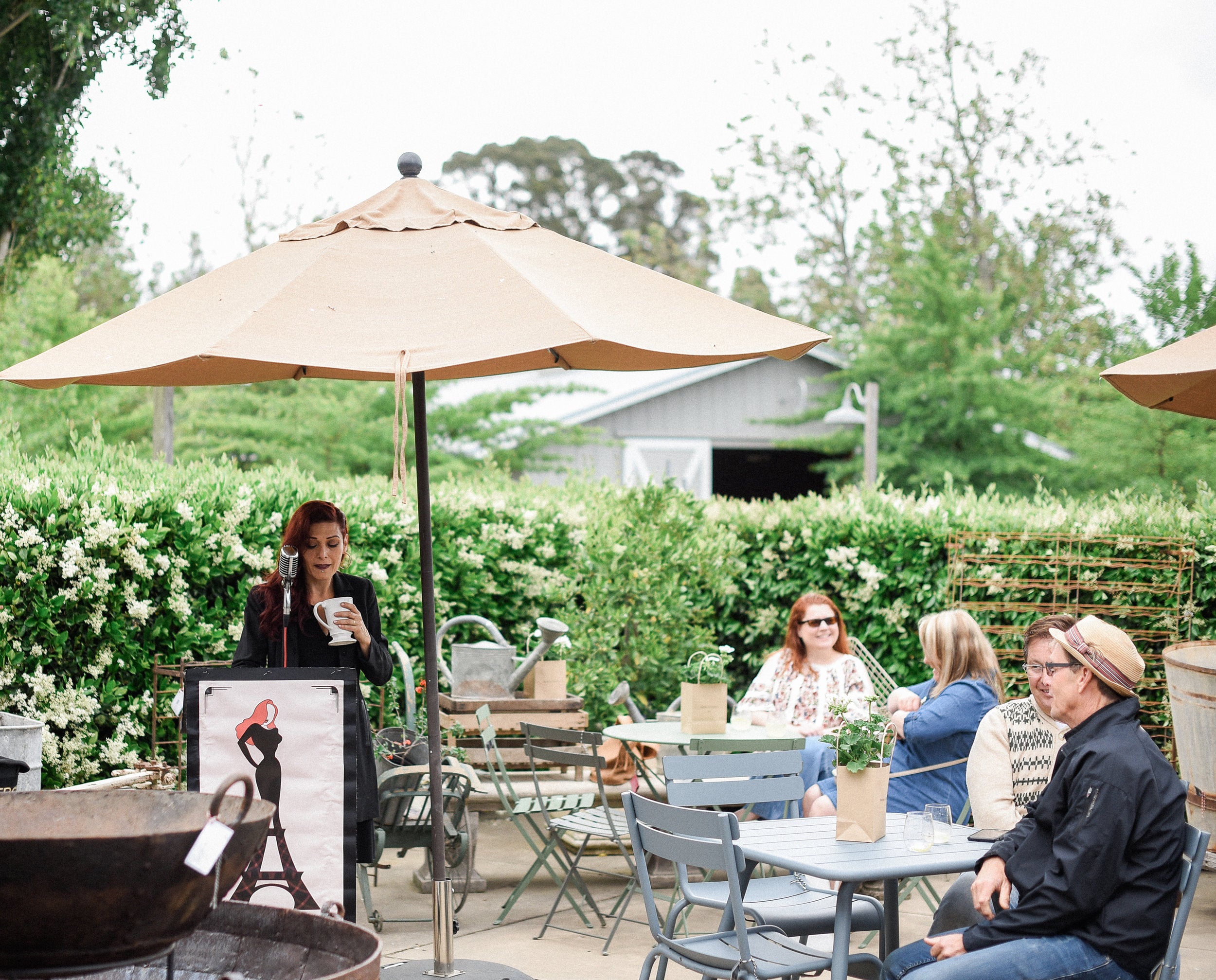 French Music Artists - One of Our Sonoma Favorites!