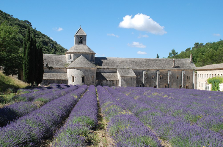 Rituals for Practicing Self Care and Compassion