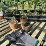 Gardening Gloves Niwaki
