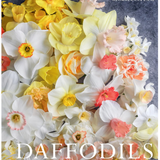Book Daffodils
