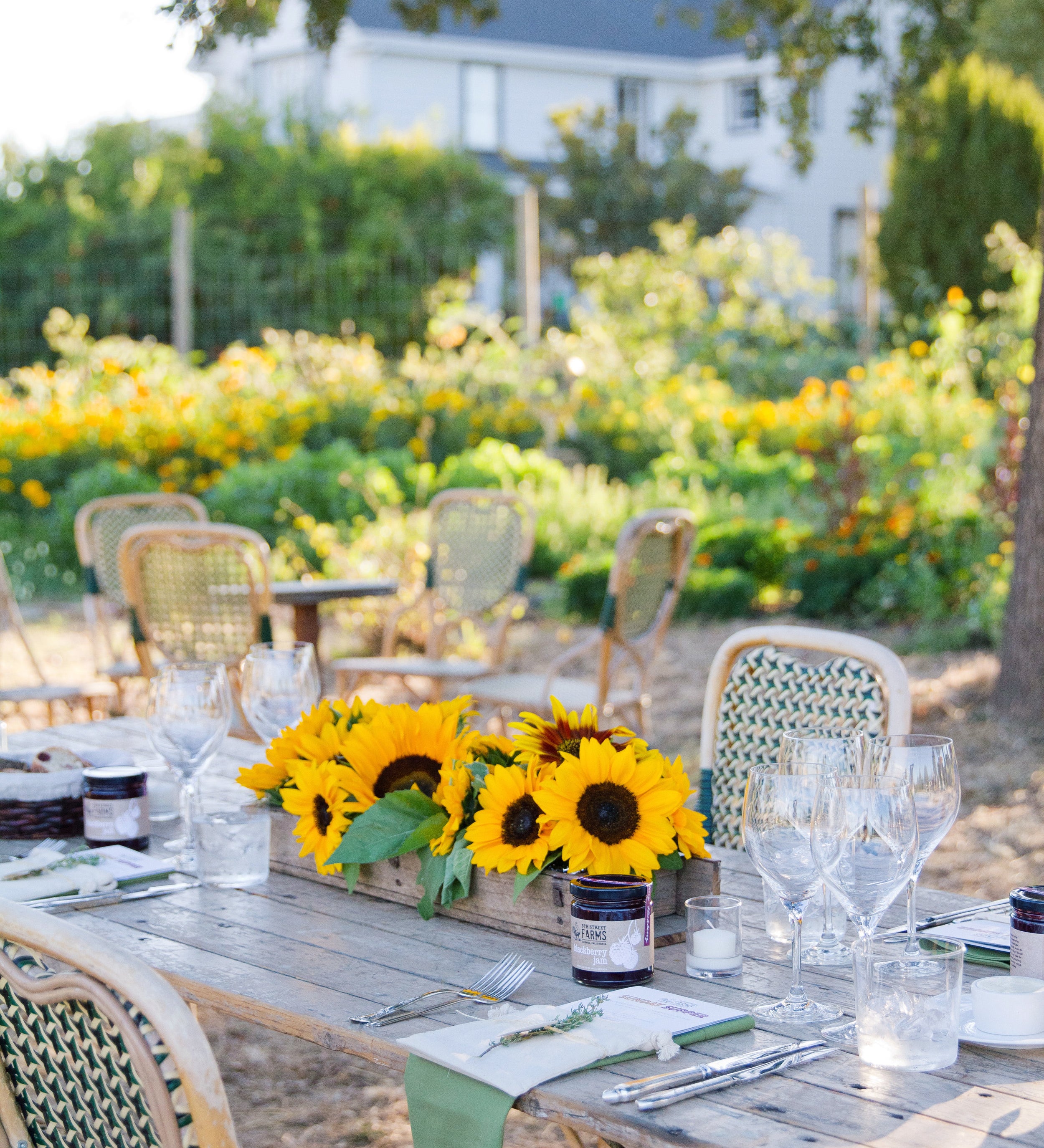 About 5th Street Farm, A Labor of Love