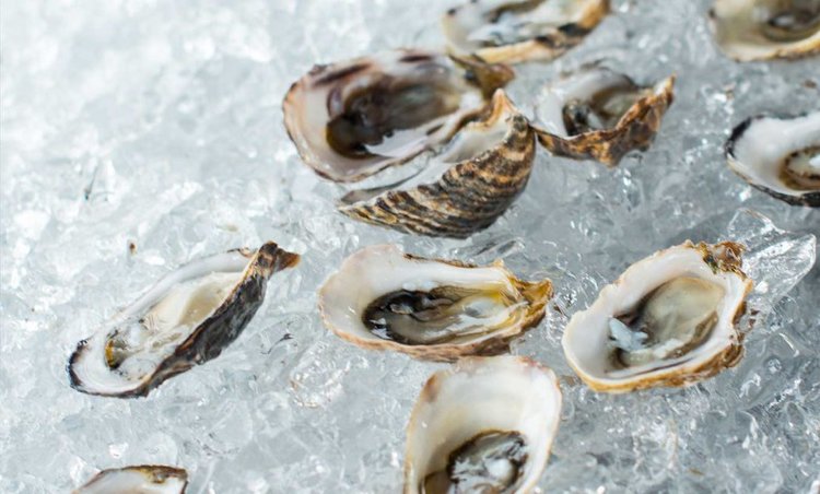 Oysters: A French and Sonoma Obsession