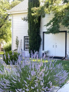 Lavender Harvest &amp; Rosé Afternoon at Chateau Sonoma Farm