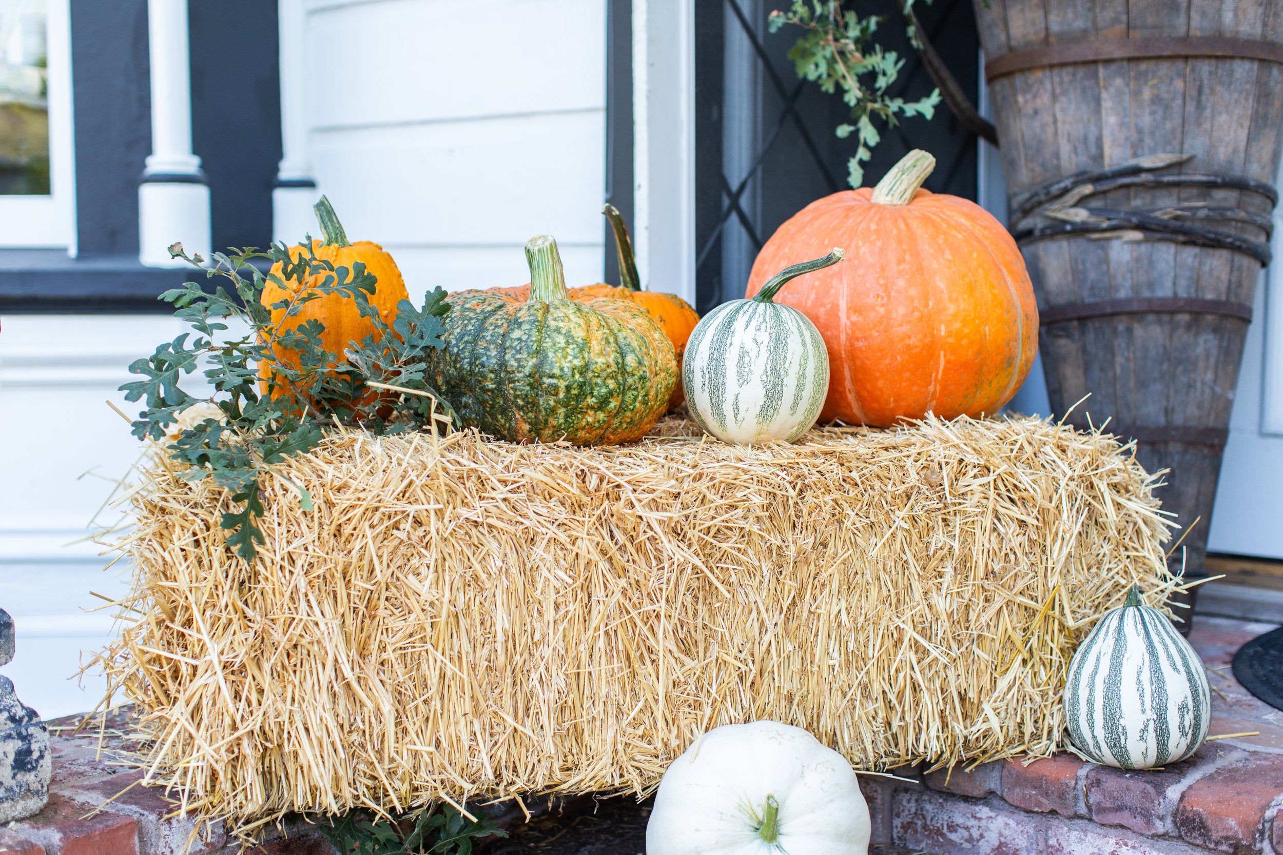 Fall at the Farm: Pumpkins Galore!