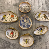 Shell Decoupage Mini