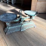 Scale Small Green