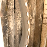 Large Pitcher Botanical