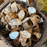 Oyster Napkin Rings Set of 4 Pat