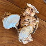 Oyster Napkin Rings Set of 4 Pat