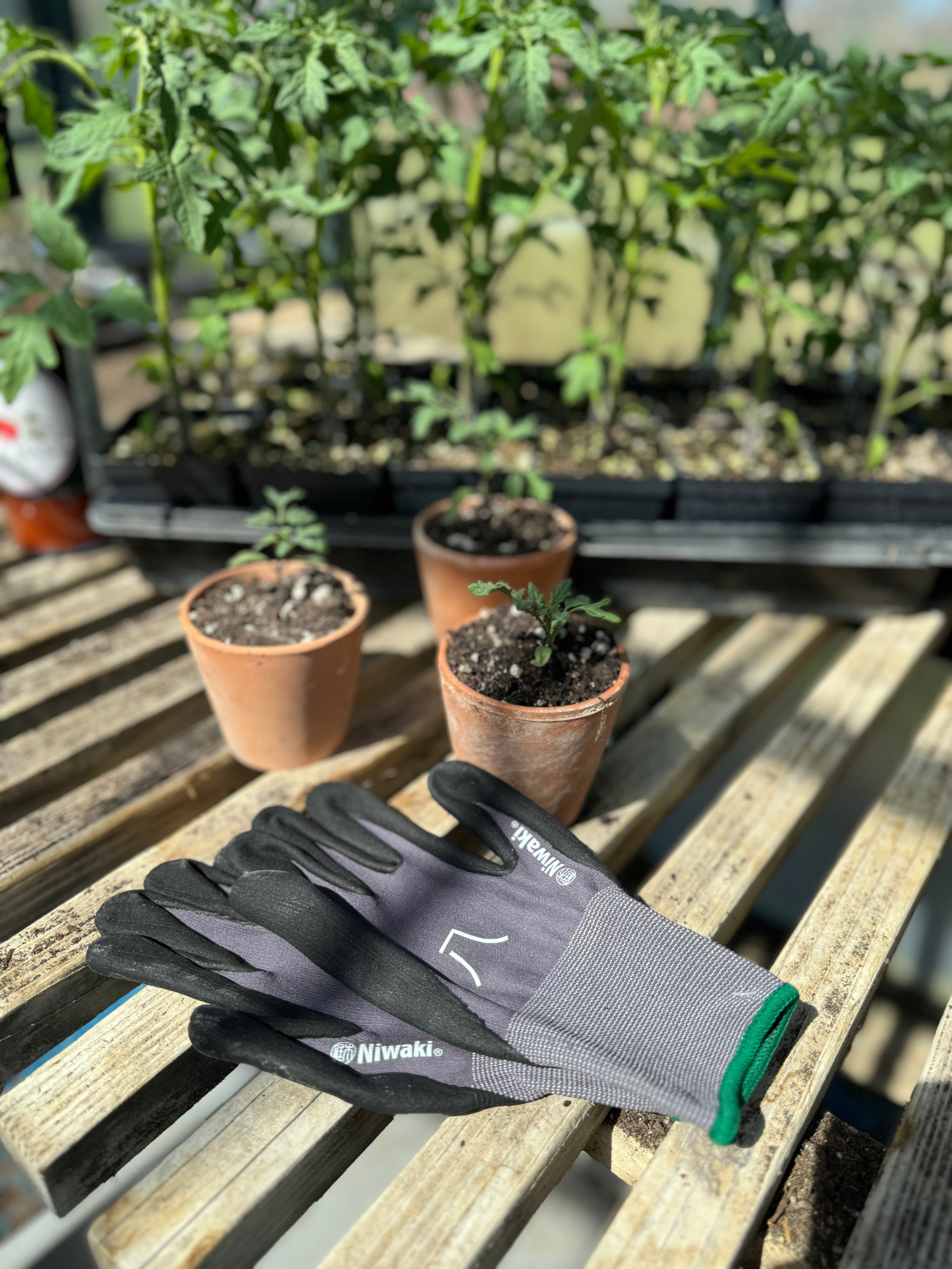 japanese gardening gloves Gardening Gloves Niwaki