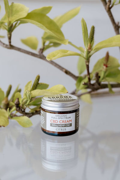 Cream CBD – Chateau Sonoma